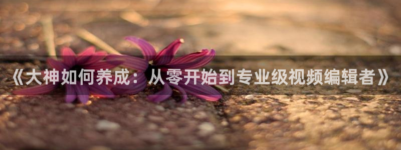 糖.心：《大神如何养成：从零开始到专业级视频编辑者》