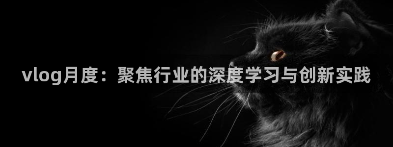 糖心volo：vlog月度：聚焦行业的深度学习与创新实践